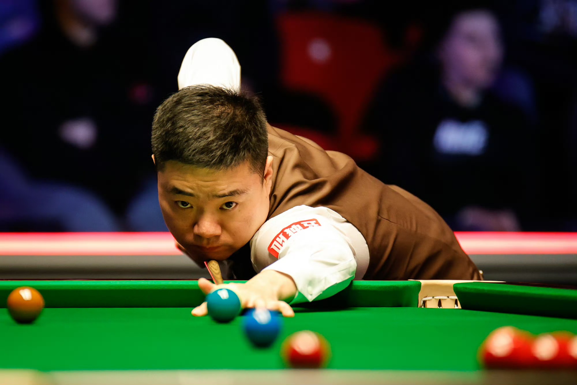 广州朗肽海 广州朗肽海