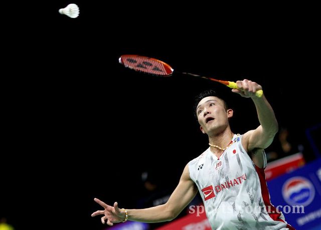 组织和三分 组织和三分