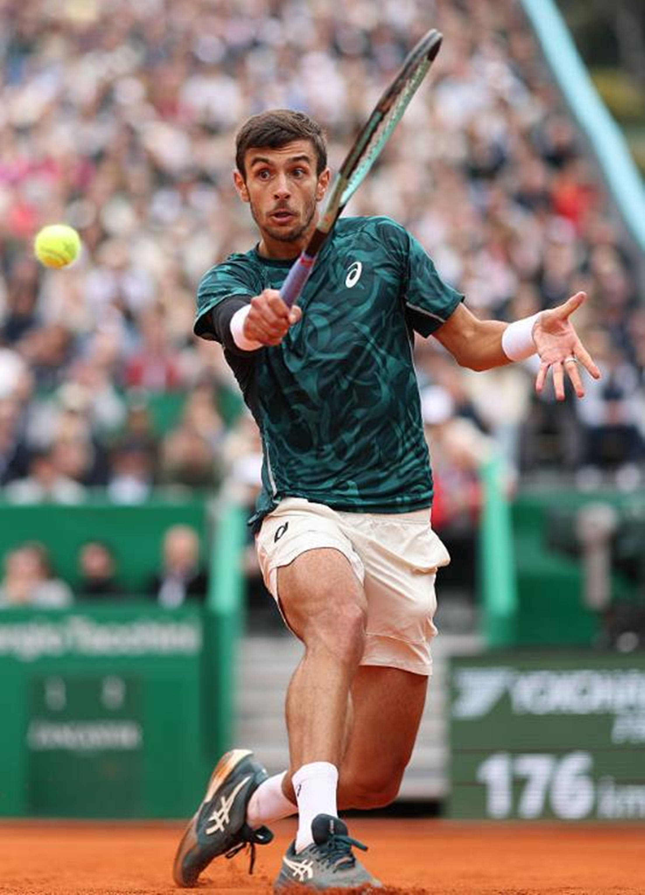 季更进一步 季更进一步