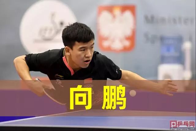 尽管在比赛 尽管在比赛