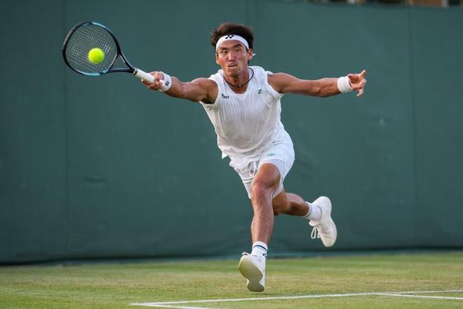 舍弗勒都能 舍弗勒都能